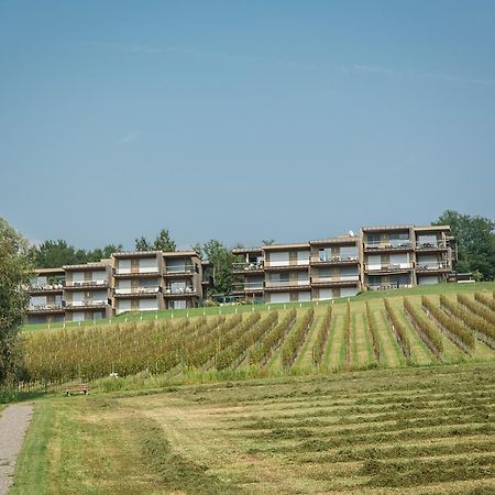 에렌하우센 Wohnen Im Wein 아파트 외부 사진