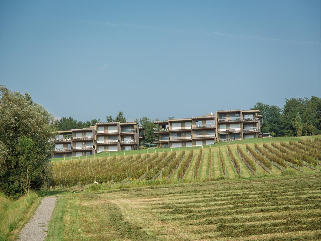 에렌하우센 Wohnen Im Wein 아파트 외부 사진